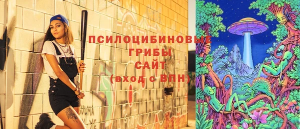 СК Карпинск