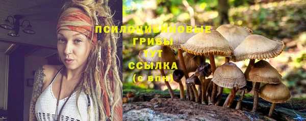 гидра Карталы